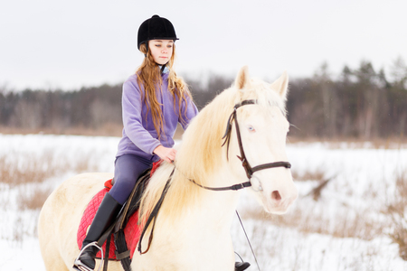 Young girl in helmet riding white horse on fieldの写真素材