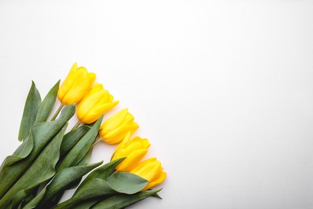 Bunch of yellow tulips on white wooden backgroundの写真素材