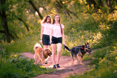 Two teenage girls walking with her dogs in parkの写真素材