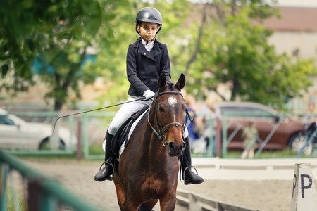 Young teenage girl riding horse on dressageの写真素材