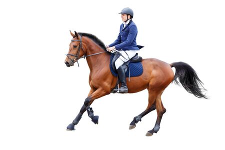 Young rider man on bay horse isolated on whiteの写真素材