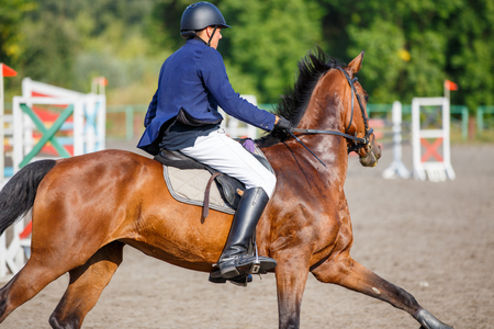 Young rider on bay horse at show jumping contestの写真素材