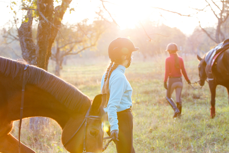 Group of rider girls walking with horses in park. Equestrian recreation activities background with copy spaceの写真素材