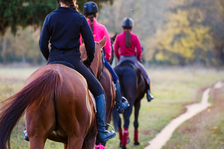 Group of teenage girls riding horses in autumn park. Equestrian sport background with copy spaceの写真素材