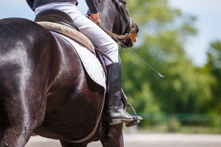Girl riding horse on dressage competitionの写真素材