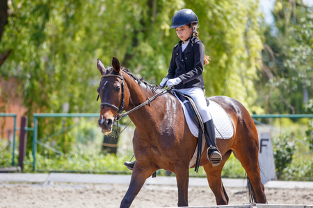 Teenage girl riding horse performing dressage testの写真素材