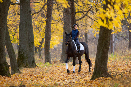 Teenage girl riding horse in autumn parkの写真素材