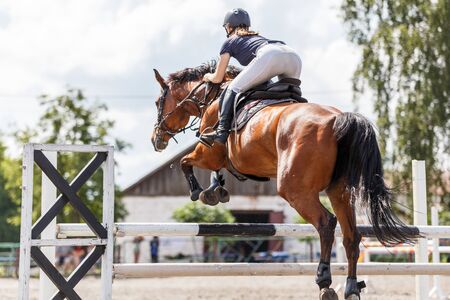 Horse rider woman on show jumping competitionの写真素材