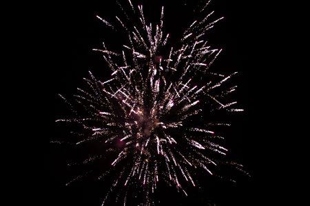 Fireworks exploding against the night sky.