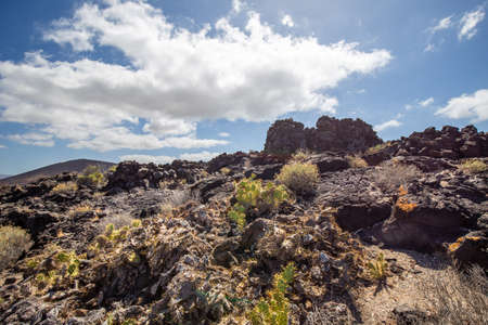Volcanic landscape of Tenerife south with cactiの写真素材