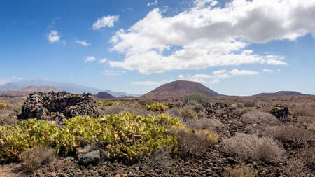 Panorama of volcanic landscape of south Tenerifeの写真素材
