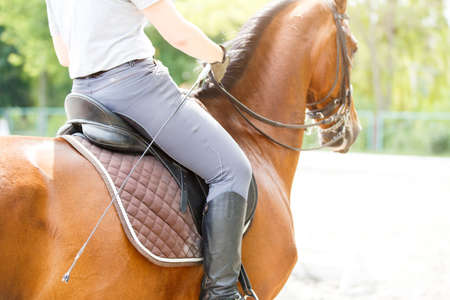 Young girl riding horse on equestrian trainingの写真素材
