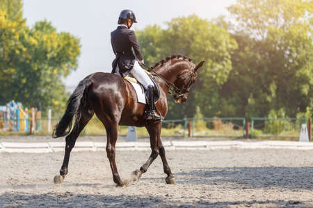 Young girl riding horse at dressage advanced testの写真素材