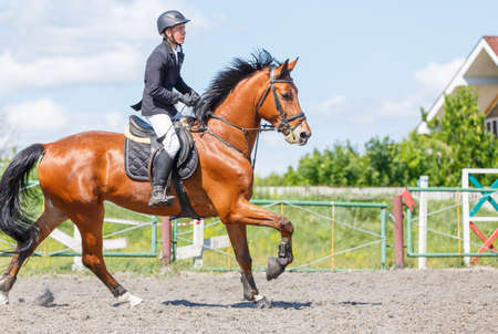 Young man on his course show jumping competitionの写真素材
