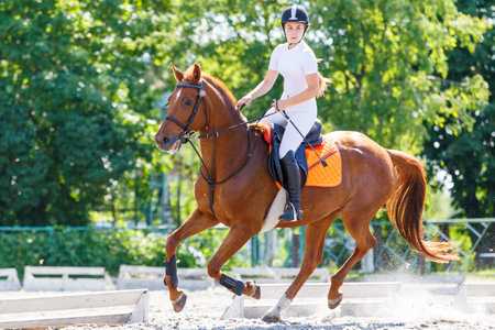 Young teen rider girl on show jumping competitionの写真素材