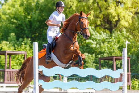 Young horse rider girl jumping on show jumpingの写真素材
