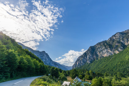 Landscape of rocky mountains along Tara canyon in Montenegro on summer dayの写真素材