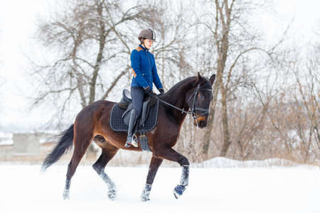 Young woman riding horse in winter park on the snowの写真素材