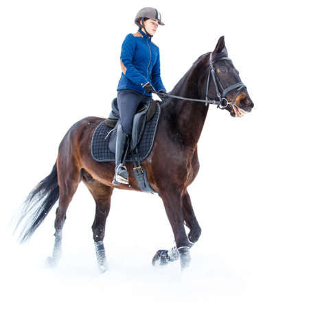 Young woman riding horse in winter isolated on whiteの写真素材