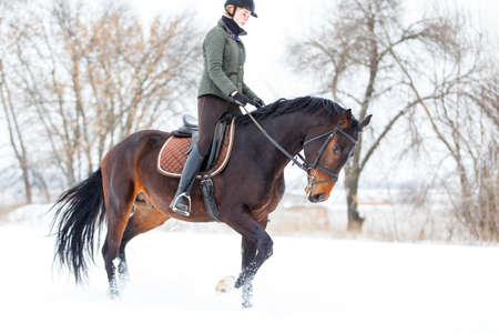 Young woman riding horse in winter park on the snowの写真素材