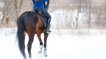 Equestrian sport or horse riding winter concept image with copy spaceの写真素材