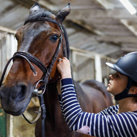 Teenage girl horse rider adjusting reins in harness at the stableの写真素材