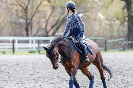 Young rider girl riding horse on the fieldの写真素材