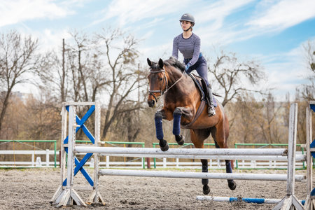 Equestrian sport. Show jumping competition. Young rider horseback girl jumping over an obstacleの写真素材
