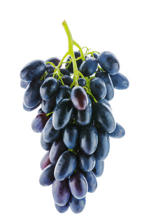 Shiny bunch of ripe backlit grapes isolated on white background. Close up image of hanging bunch of blue grapesの写真素材