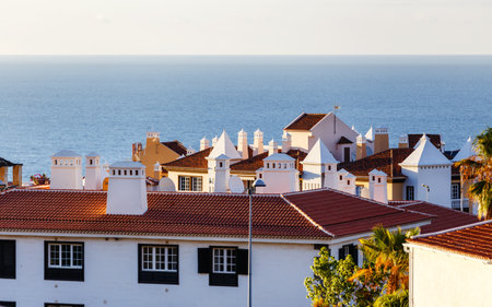 Red roofs and white chimneys of the small european town near the seaの写真素材