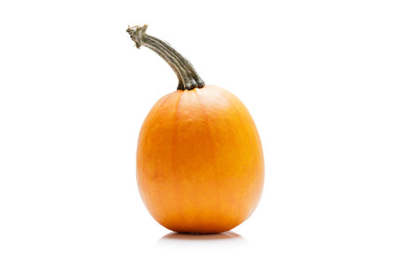 Small orange pumpkin isolated on white backgroundの写真素材