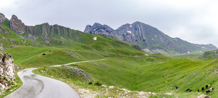 Wet road after storm in Durmitor national park, Montenegroの写真素材