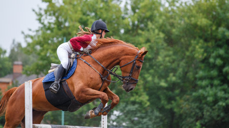 Young woman riding horseback jumping over the hurdle on showjumping courseの写真素材