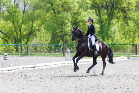 Young horse rider girl on her advanced dressage test in equestrian competition.の写真素材