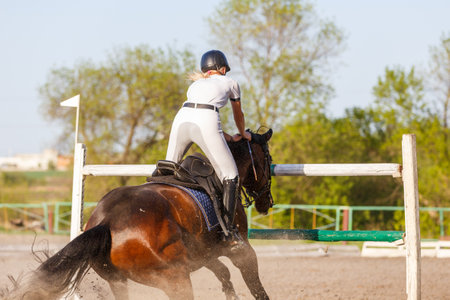 Unobediance of the horse in show jumping competition.の写真素材