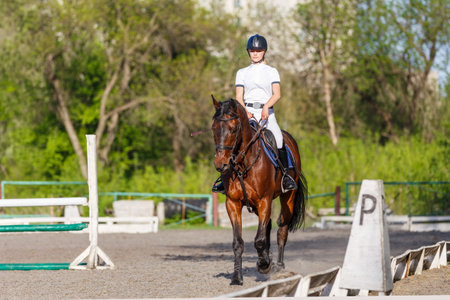 Young rider woman riding horse warming up before showjumping competitionの写真素材