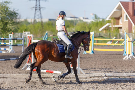 Young rider woman riding horse warming up before showjumping competitionの写真素材