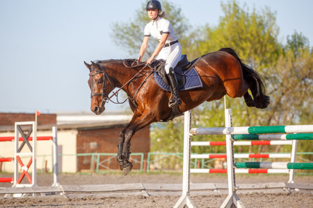 Young horseback woman landing after bounding over the obstacle on her courseの写真素材