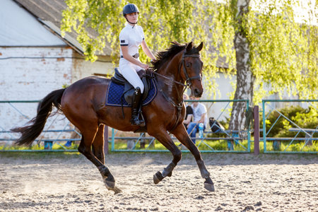 Young rider woman riding horse warming up before showjumping competitionの写真素材