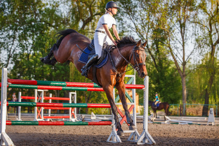 Young horseback woman landing after bounding over the obstacle on her courseの写真素材