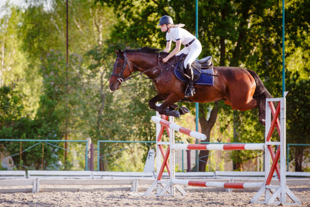 Young horseriding woman jumping over the obstacle on her showjumping courseの写真素材