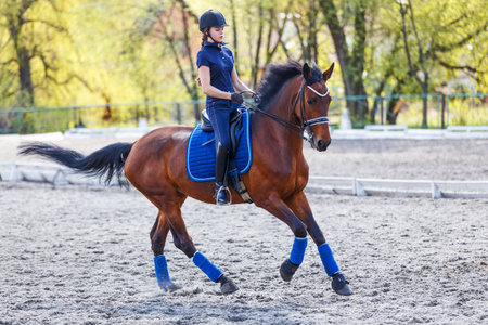 Young girl riding bay horse on equestrian dressage trainingの写真素材