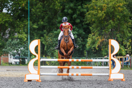 Equestrian rider jumps over an obstacle during a competition in a lush outdoor arena on a clear dayの写真素材