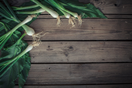 Greens of young garlic on a old wooden tableの写真素材
