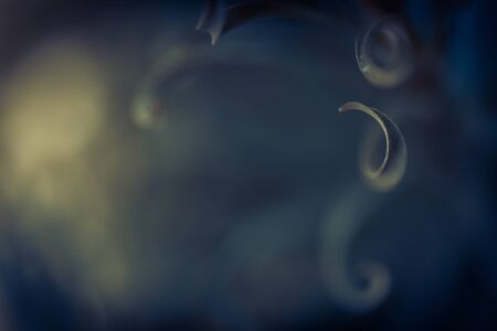 Plant abstract backgroundの写真素材