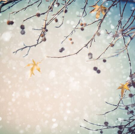 Tree branches in winter with snow fallingの写真素材