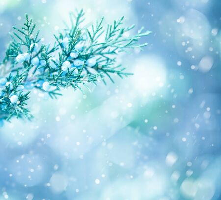 Tree branches in winter with snow fallingの写真素材