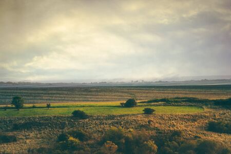 Beautiful Landscape fields.