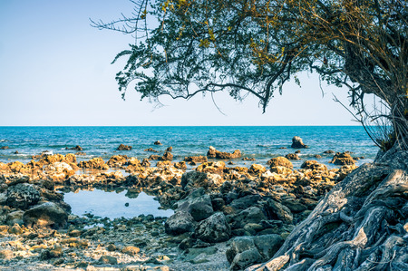 Haad Yuan Beach Koh phangan Thailandの写真素材