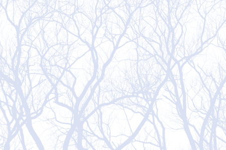 Just kidding - Brightness Adjusted \ tの写真素材